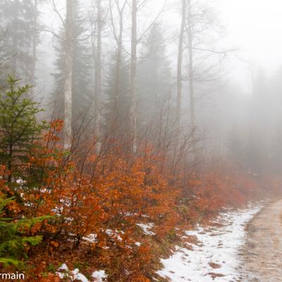 Brouillard à Fond d'Urle en janvier