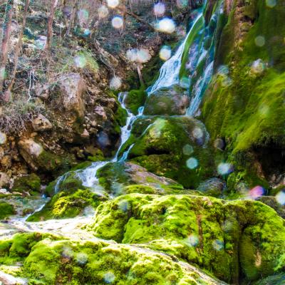 cascade verte en contre jour