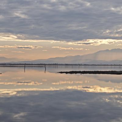 Jyg contre jour coudalere