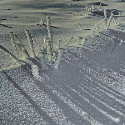 Jyg neige et glace contre jour