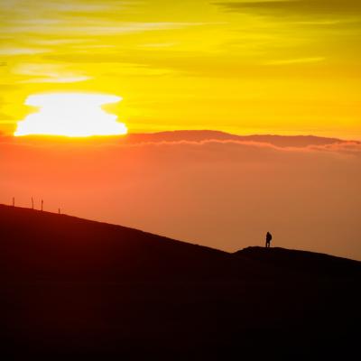 Le contemplateur vercors thierrylth