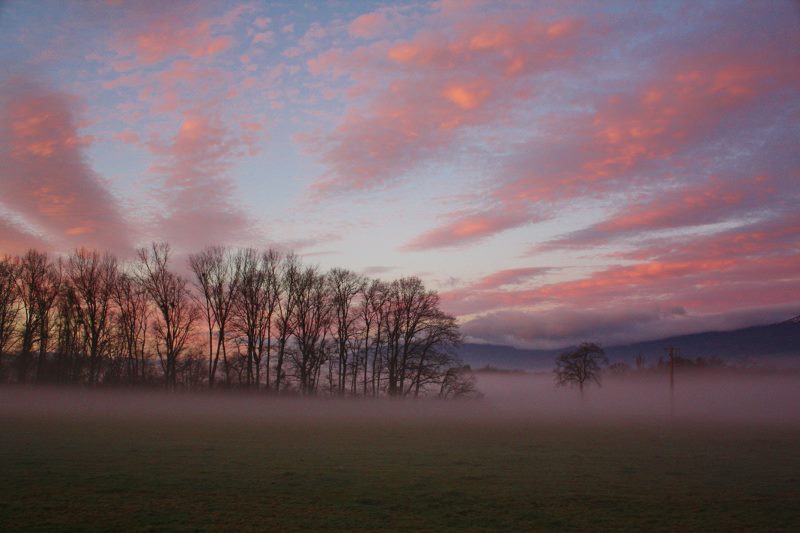 le matin à Moëns