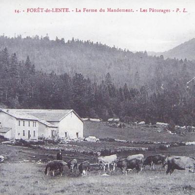 Lente La ferme du Mandement