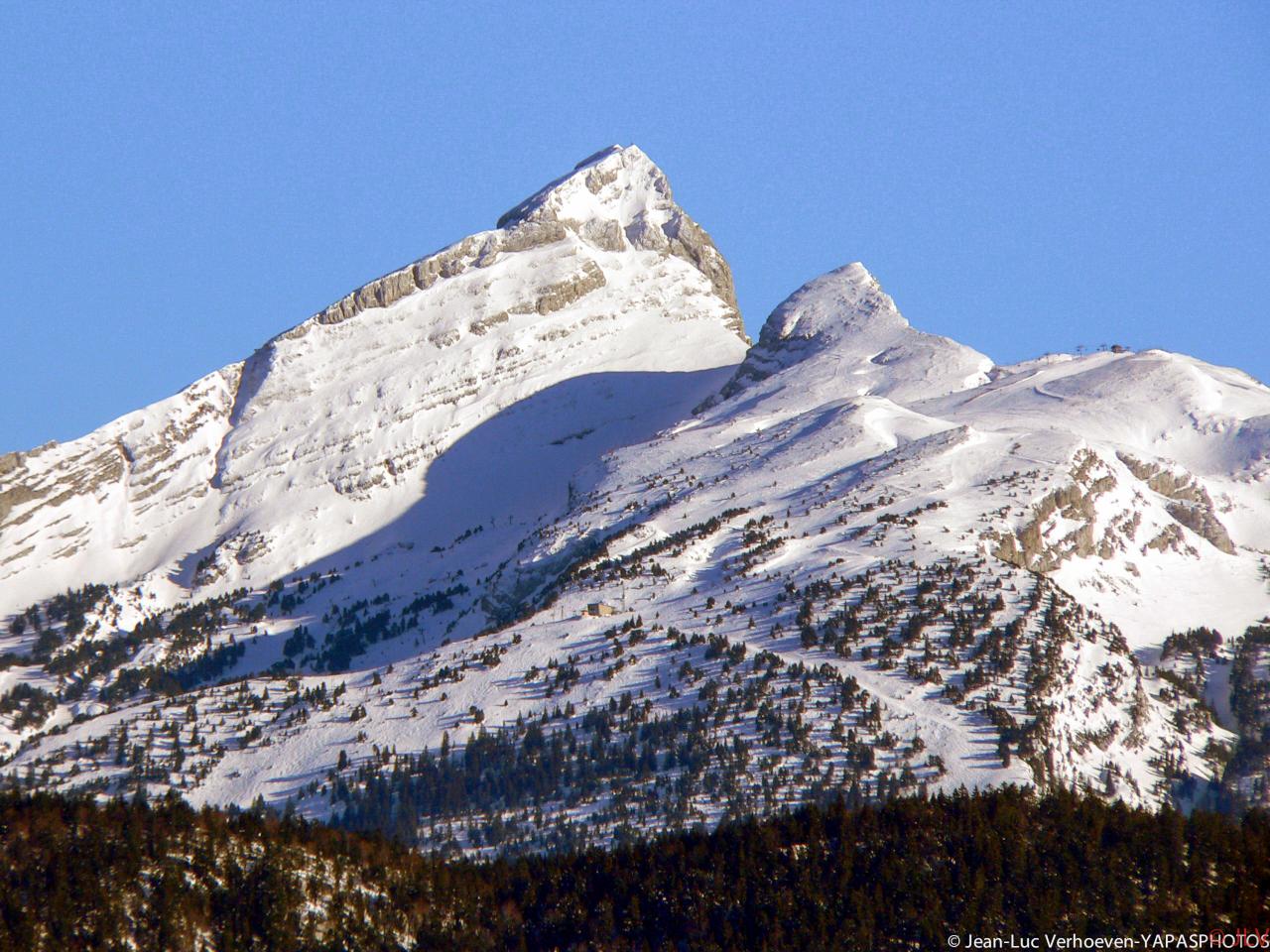 les moucherolles