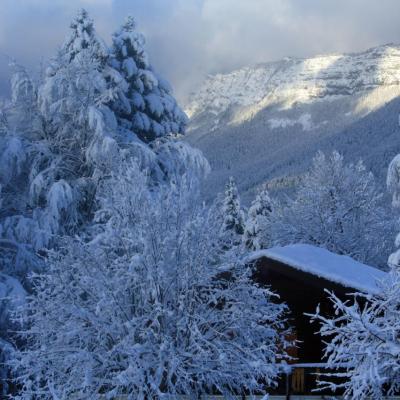 manteau d'hiver