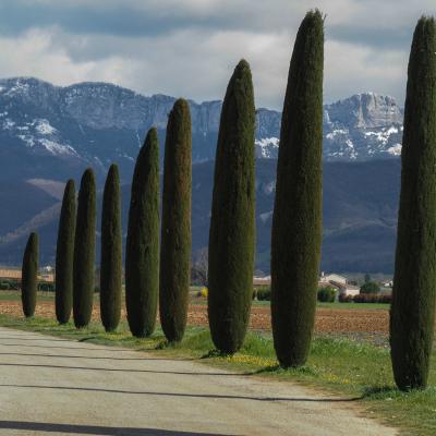 Marches drôme