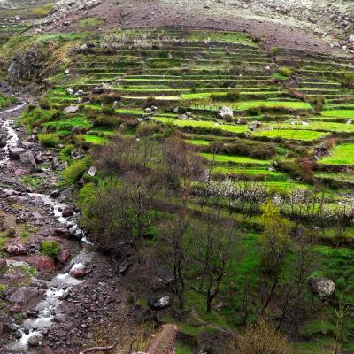 Maroc
