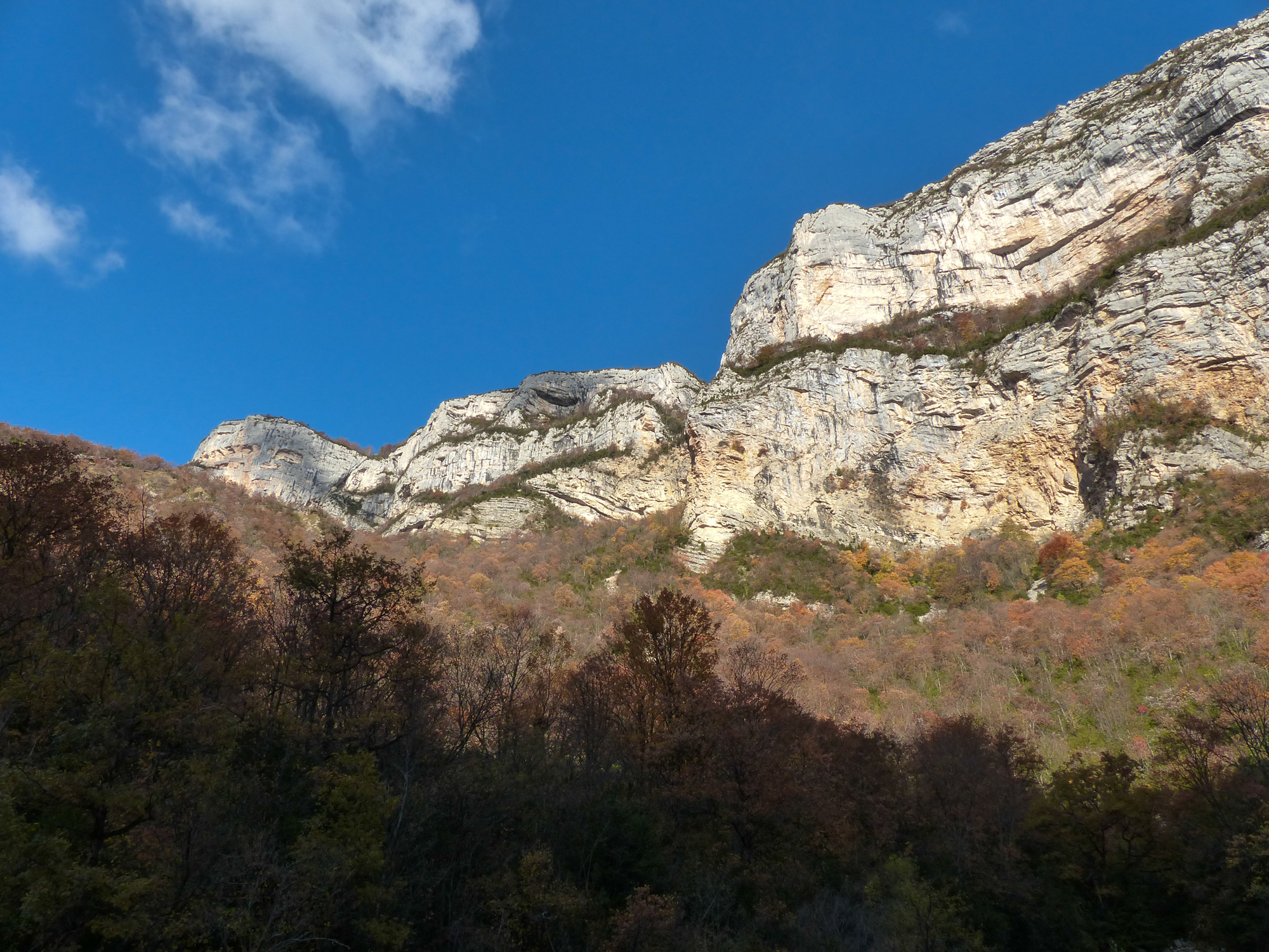 VERCORS 1