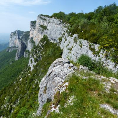 VERCORS 2