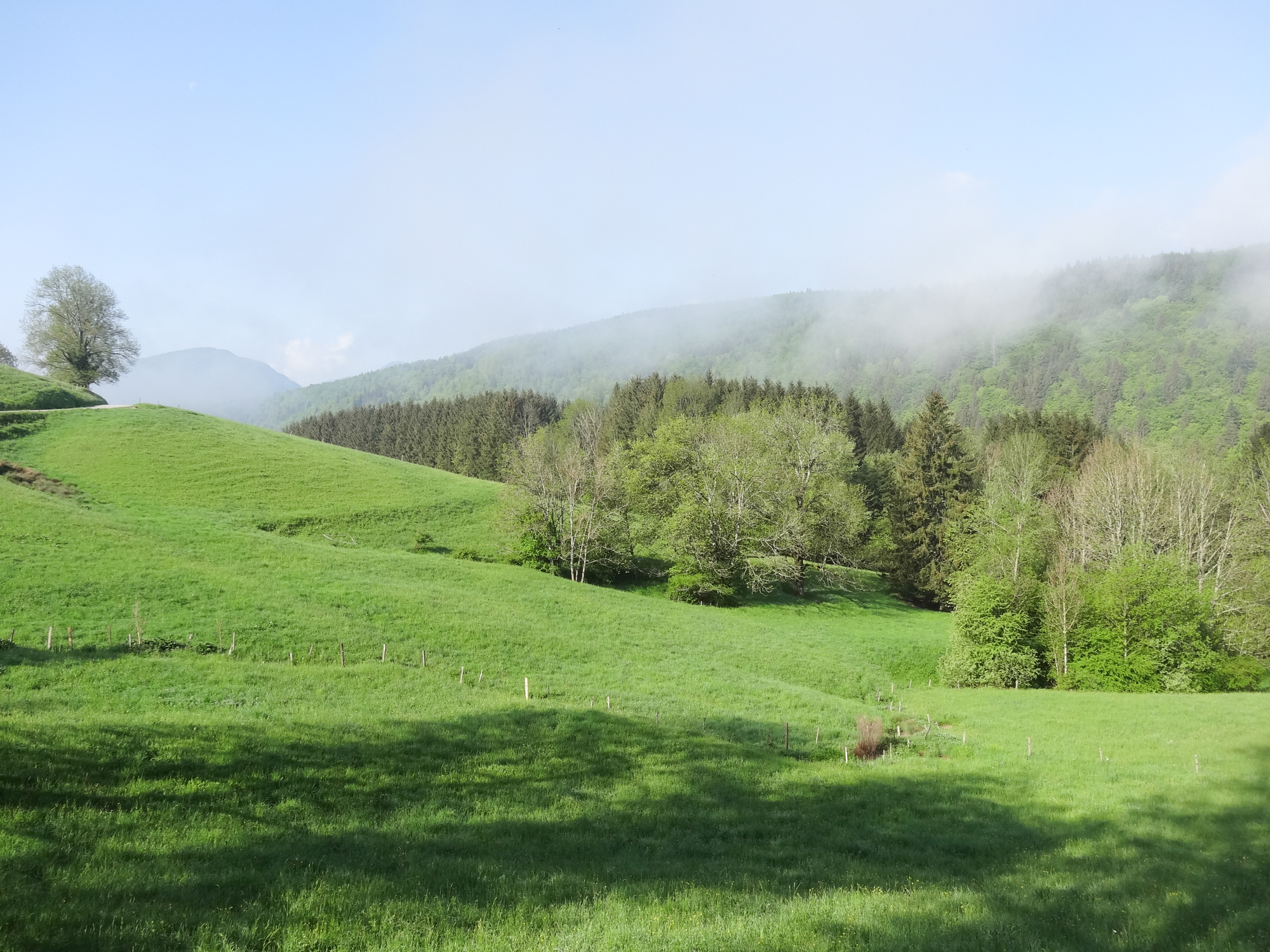 vers Saint Agnan en Vercors