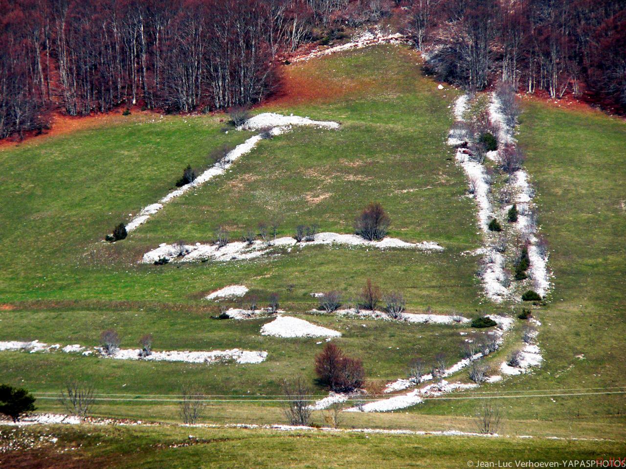 Mergères de Vassieux