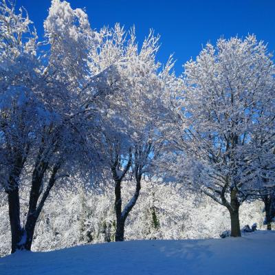 Mj neige et glace 04 r