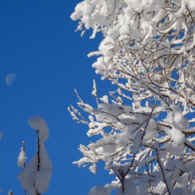 Mj neige et glace 05 r