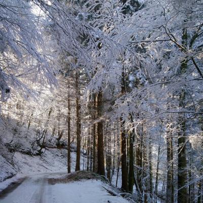 Mj neige et glace 07 r