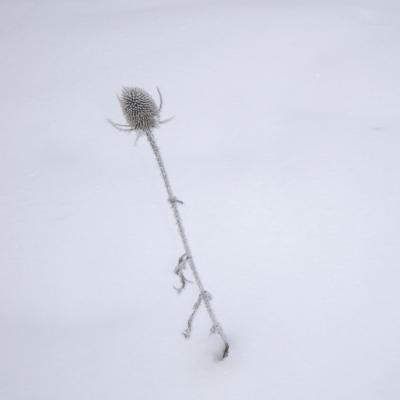 Mj neige et glace 10 r