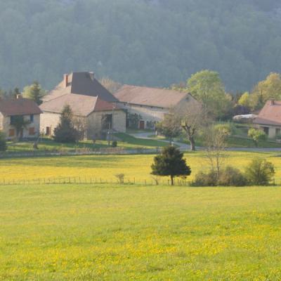 Mob 3 le château printemps 