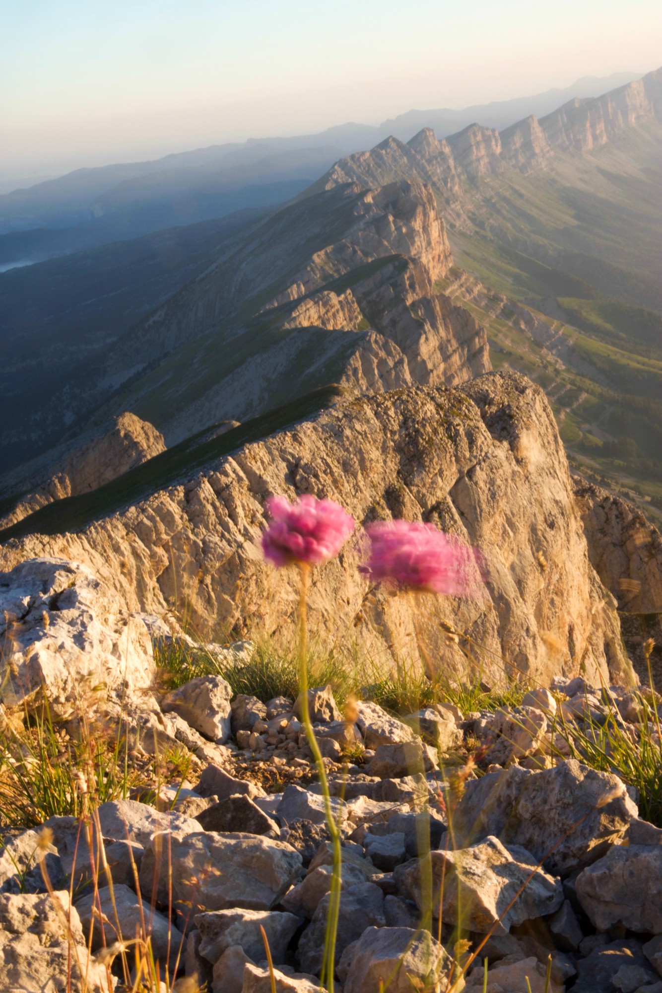 armeries dans le vent du grand veymont