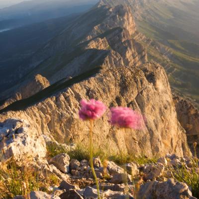 armeries dans le vent du grand veymont