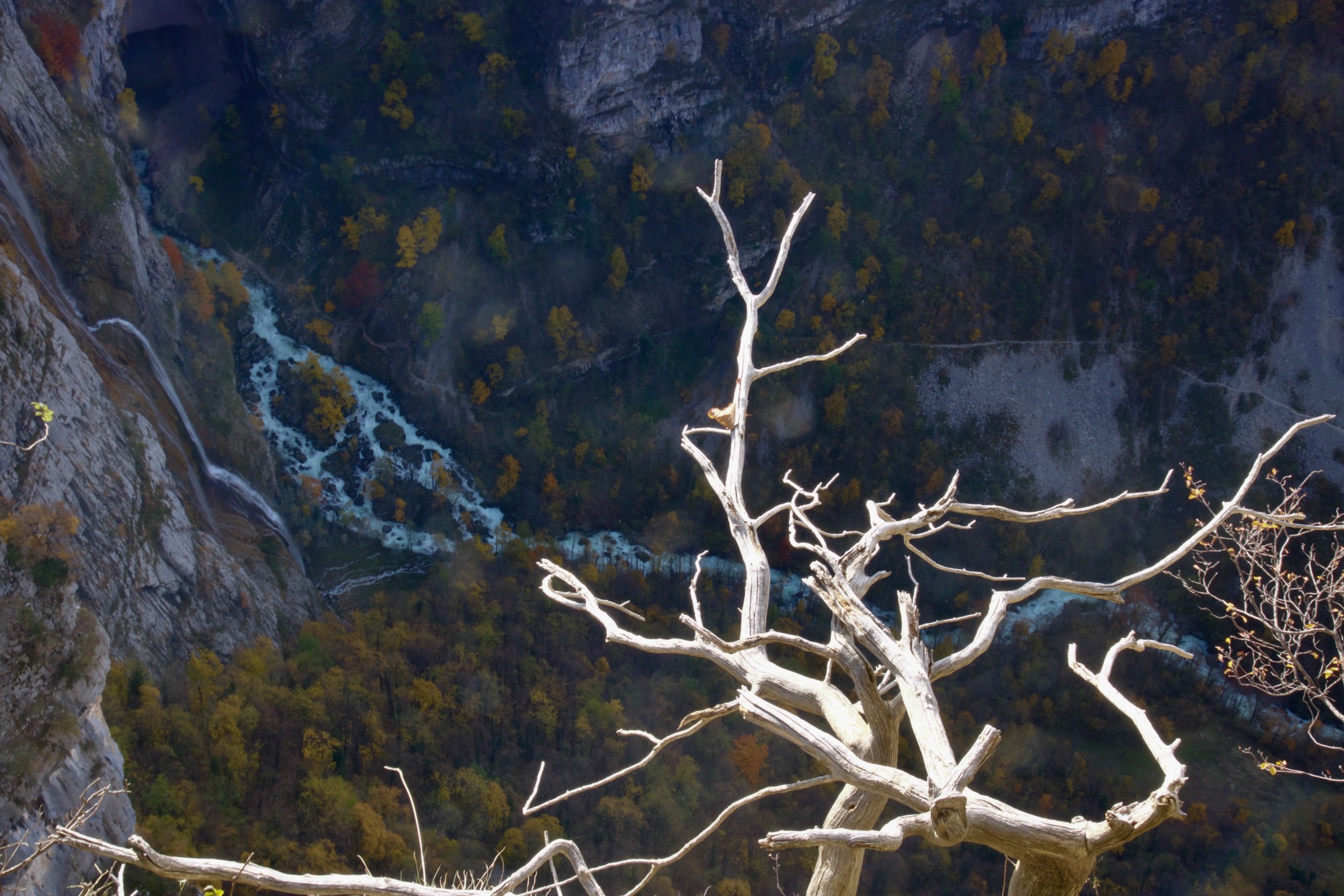 équilibriste au cirque de bournillon