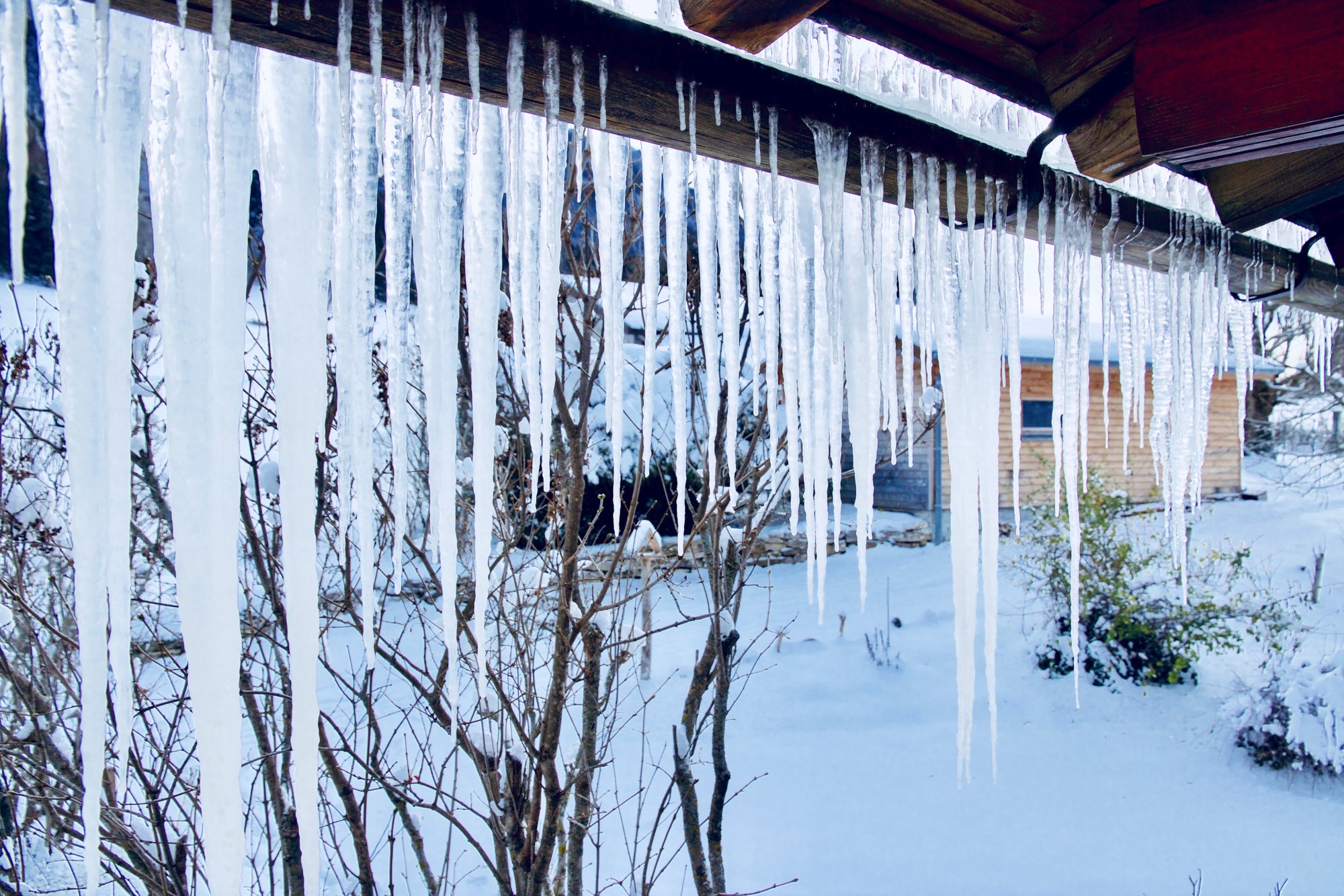 guirlande de glace