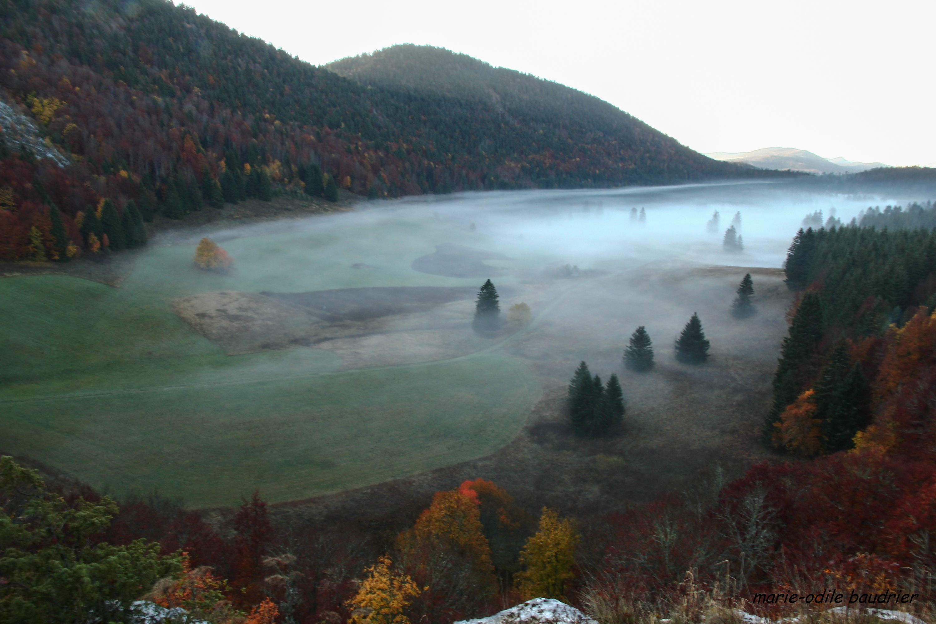 brumes d'herbouilly