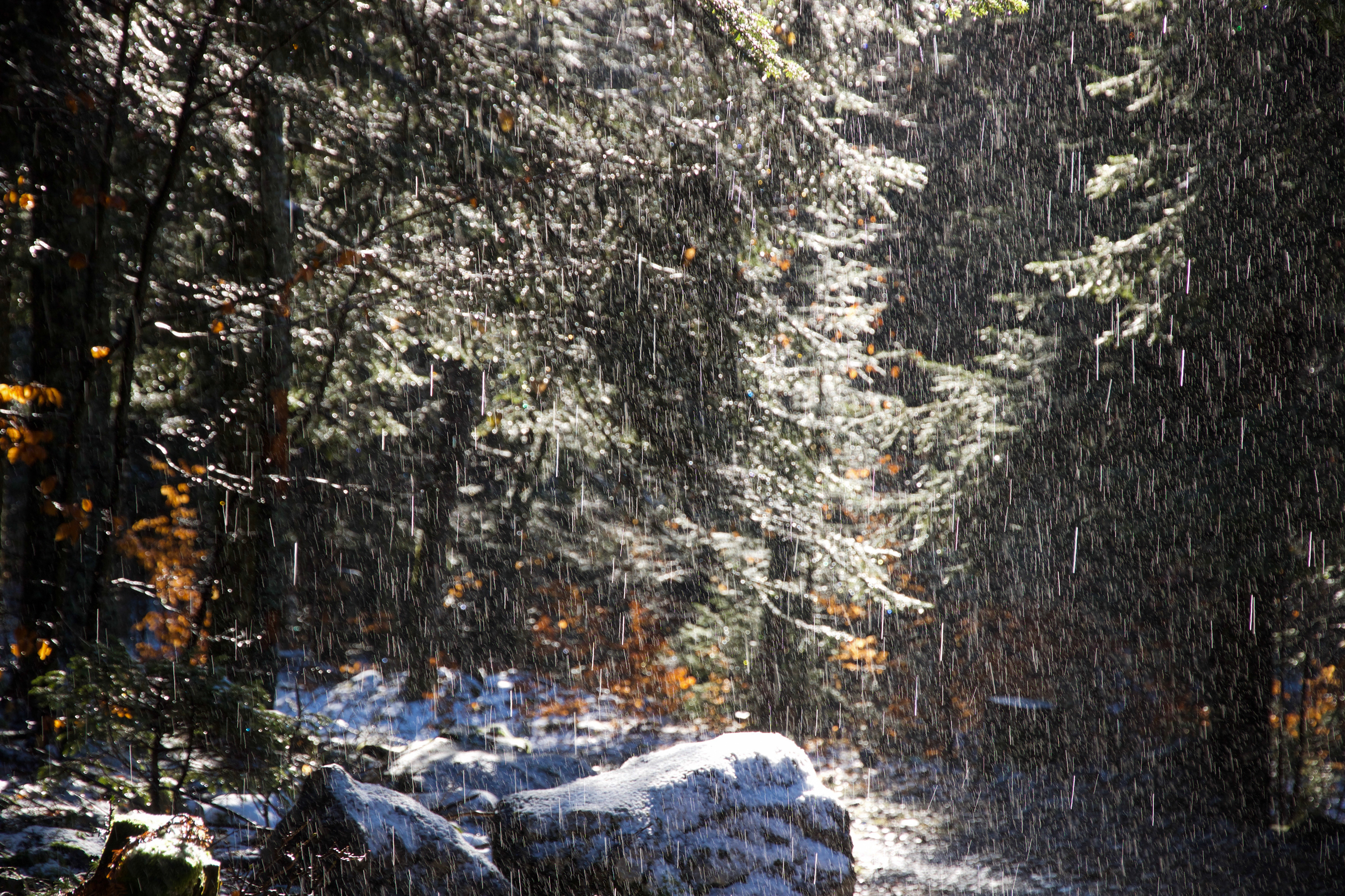 pluie sur neige