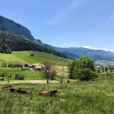 retrouver les joies de l'herbe à st julien