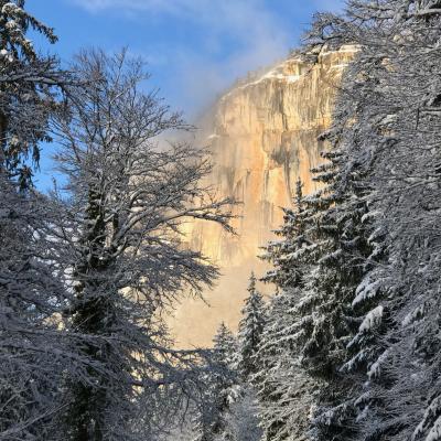 Mob roche rousse neige