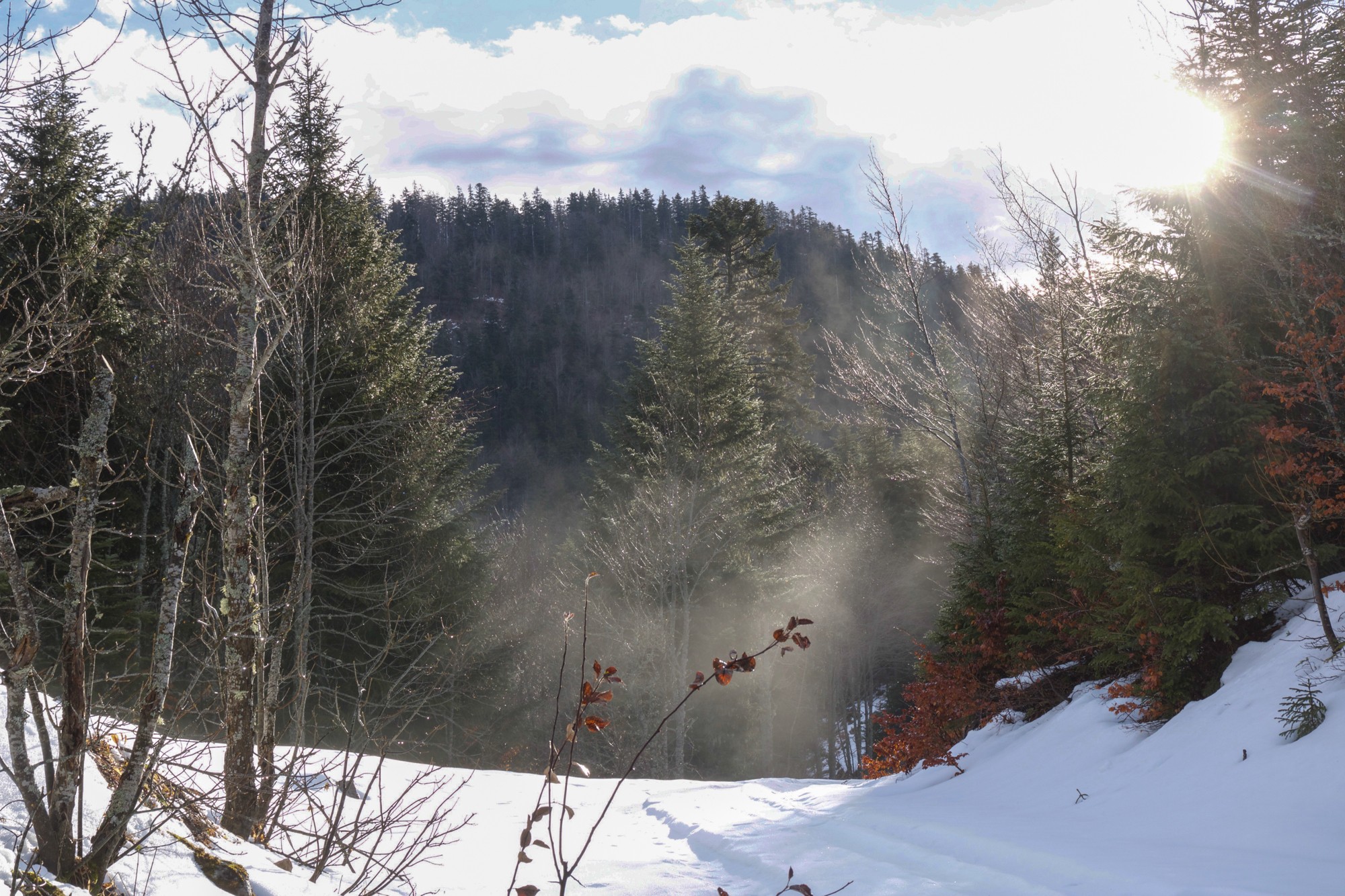 tourbillon de neige