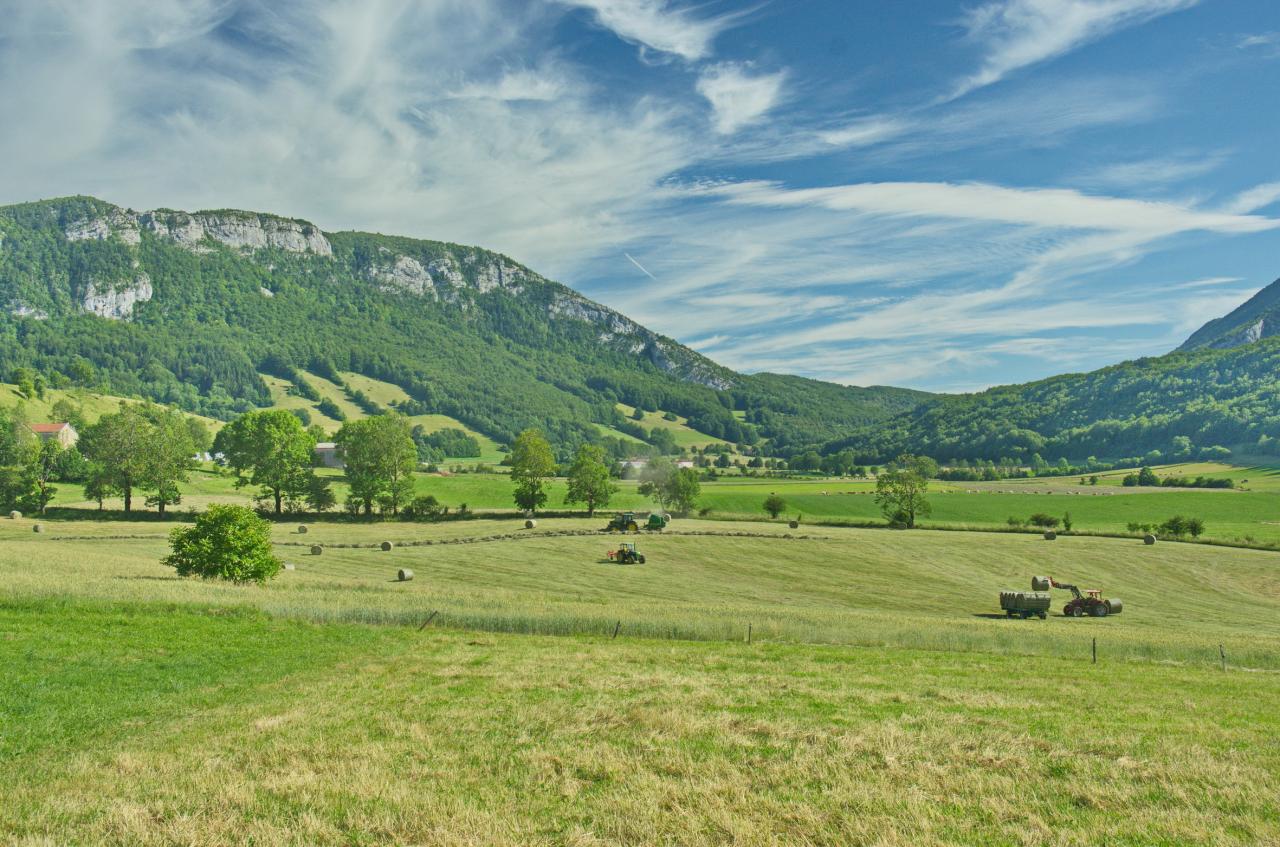 moisson aux bernard 3