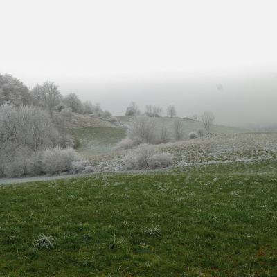 Les Jaliffiers