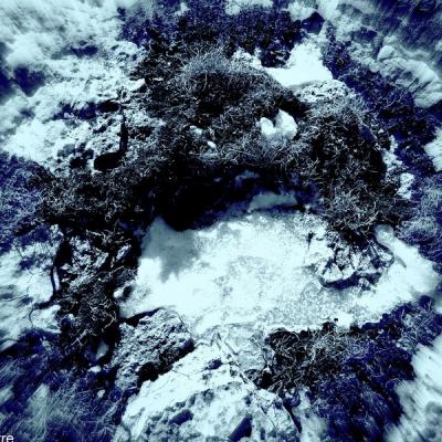 P1050051 redimensionner