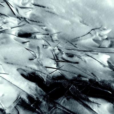 P1050078 redimensionner