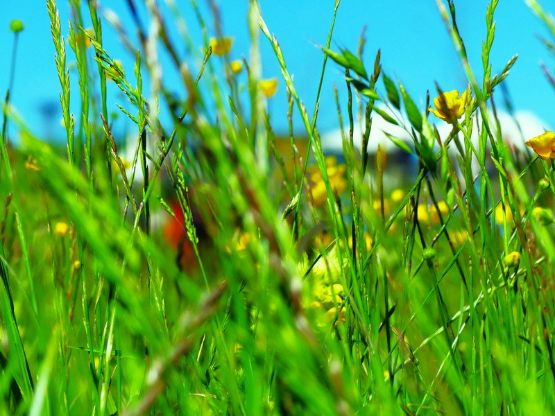 P1050753 redimensionner