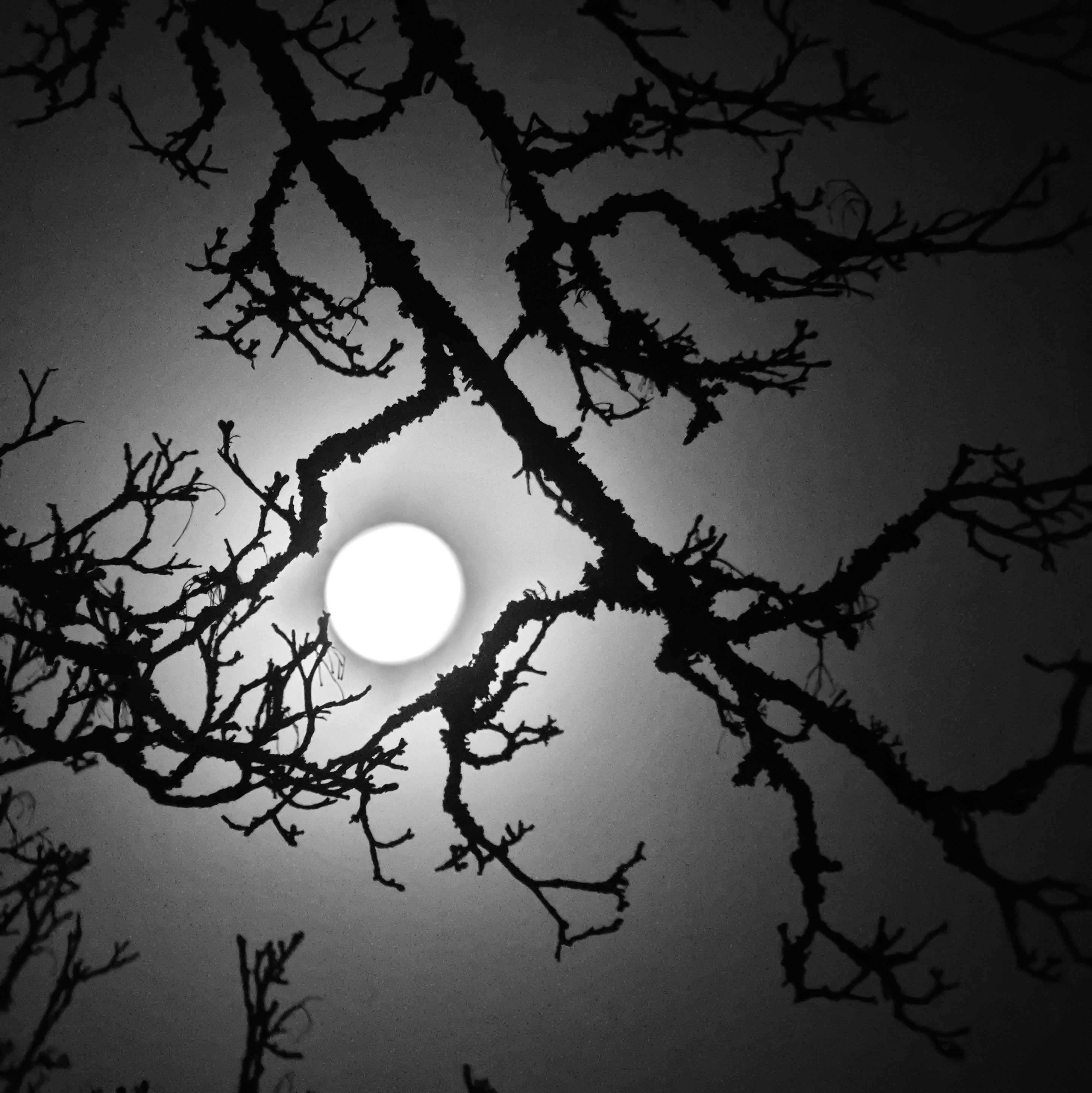 Peine lune 3