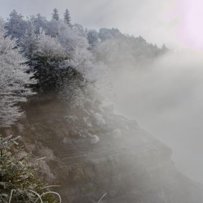 Pelandre brume par jean yves g