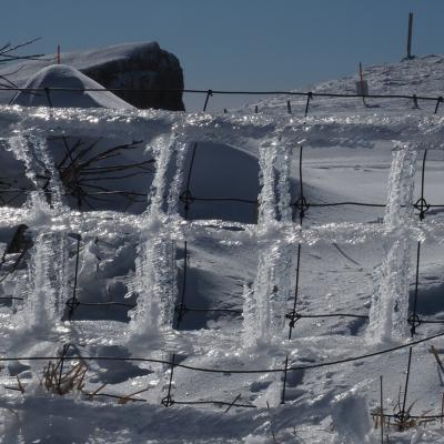 Pierreml contrejour fontdurle3 20250203 m5