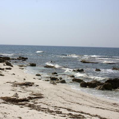 plage de cailloux blancs