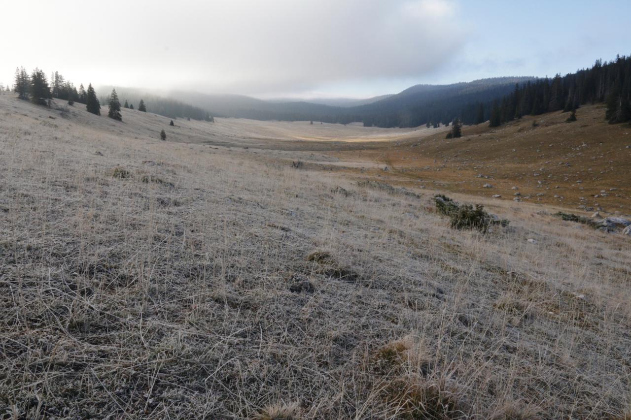 plaine d'herbouilly le matin