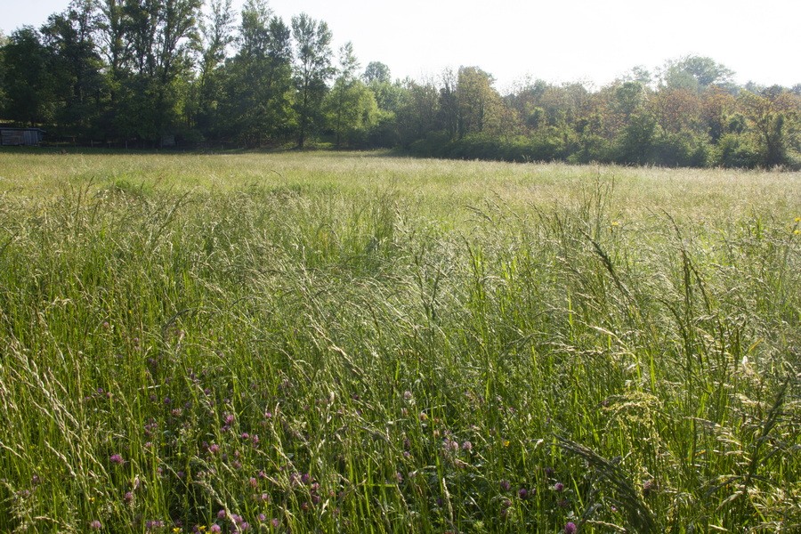 Prairie redimensionner 1