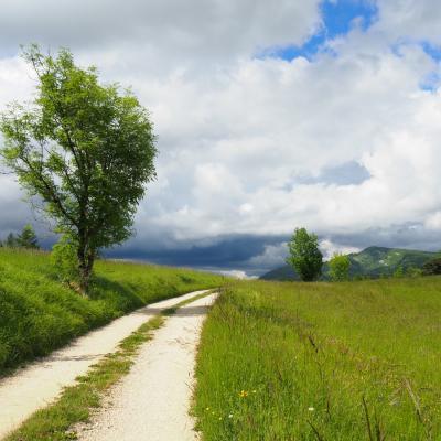 Près de presles