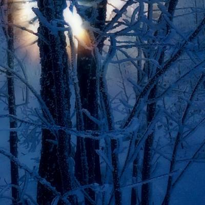 S 20250113 131001 omw redim2000 ce 15 wbj 2 cl 100 dh 100 h0m 5s 3