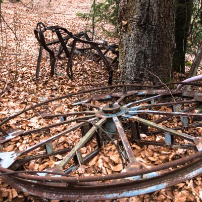 sans la neige, les arbres remplacent les remontées mécaniques y-2