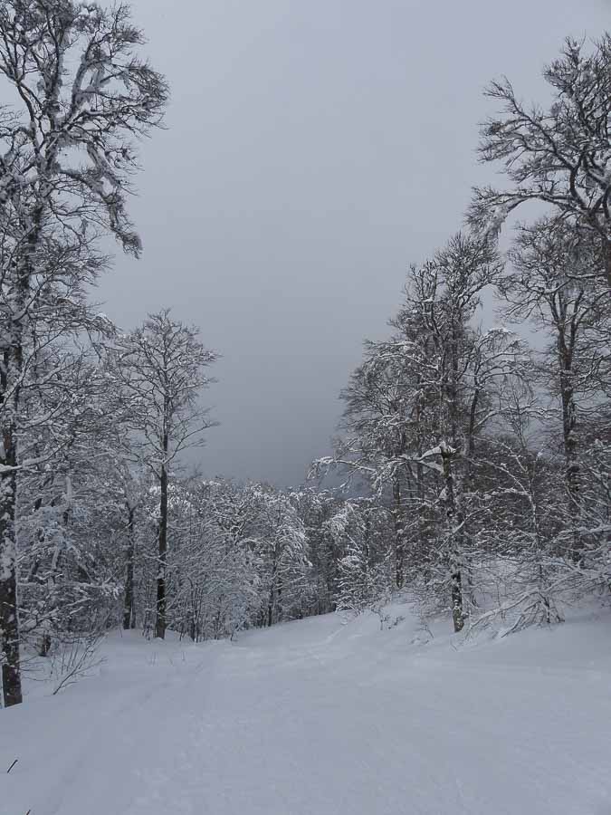 M C Vercors quest