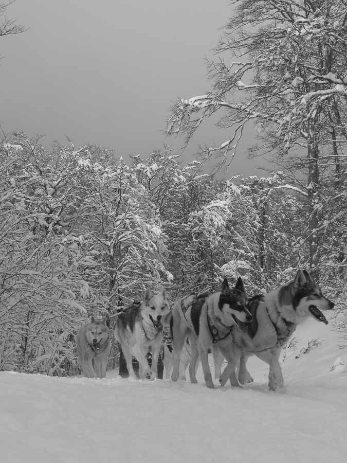 M C Vercors quest