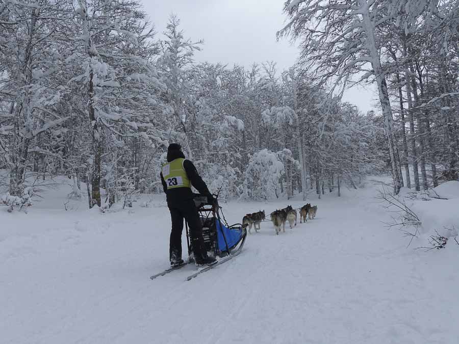 M C Vercors quest