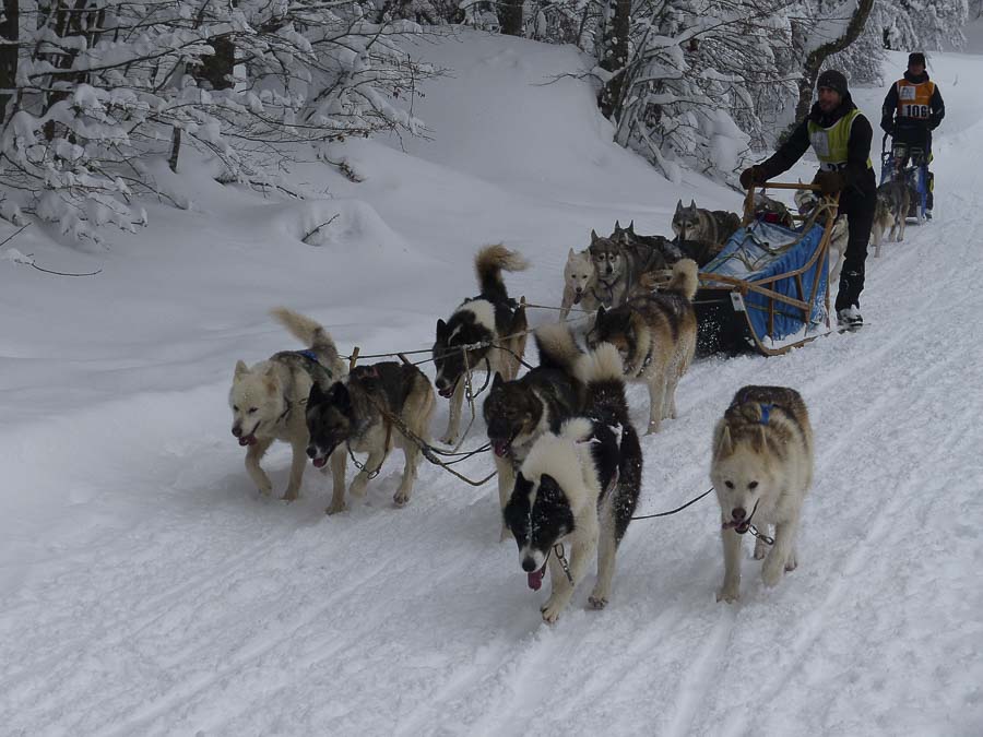 M C Vercors quest