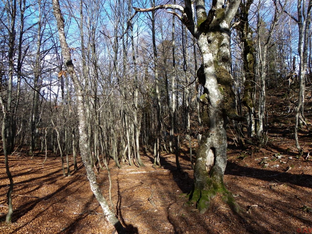 soleil couchant sur beure
