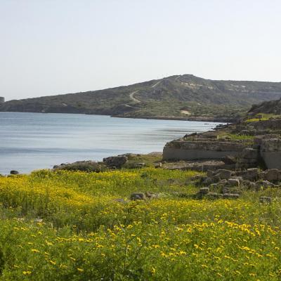 Tharros