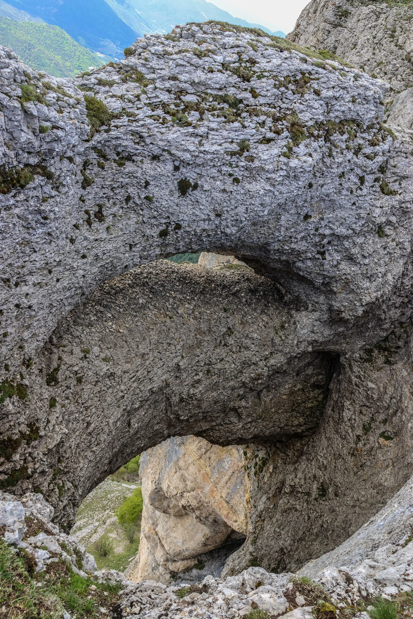 Thierrylth c ou img 1091 1